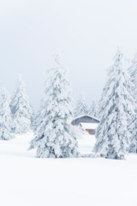 Germany, Baden-Württemberg, Black Forest, winter on the Hornisgrinde. Germany, Baden-Württemberg, Black Forest, winter on the Hornisgrinde.